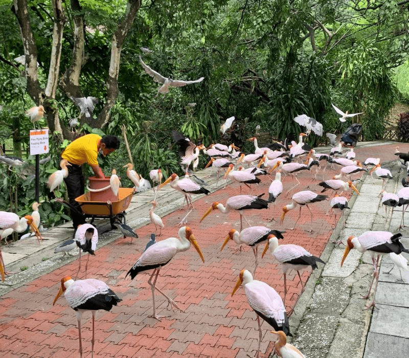 Không gian sinh thái rộng lớn tại Vườn Chim Kuala Lumpur Bird Park