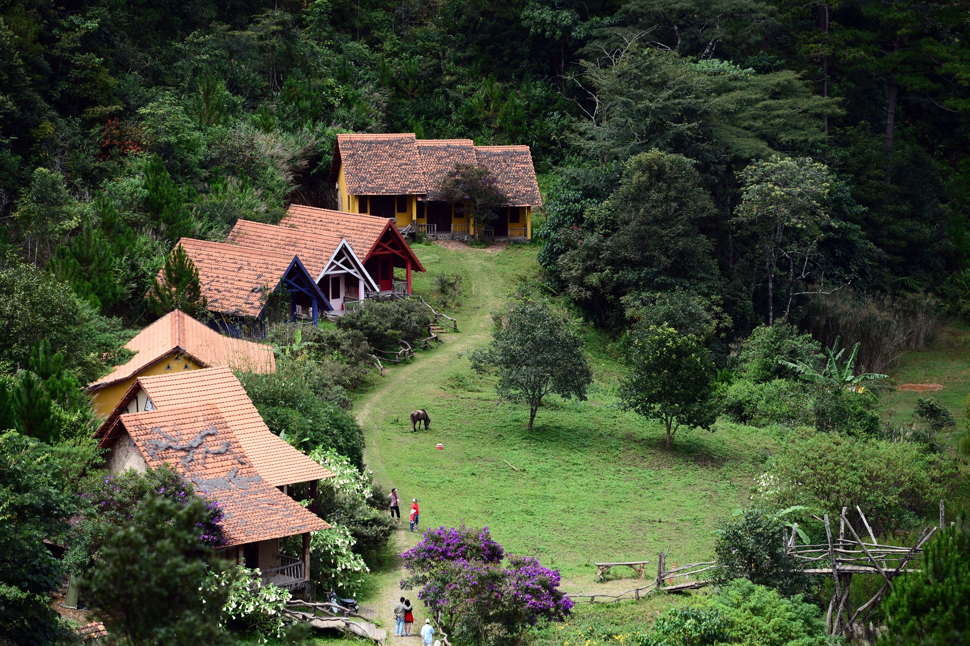 Làng Cù Lần với những ngôi nhà sàn nhỏ xinh nằm giữa rừng thông và suối