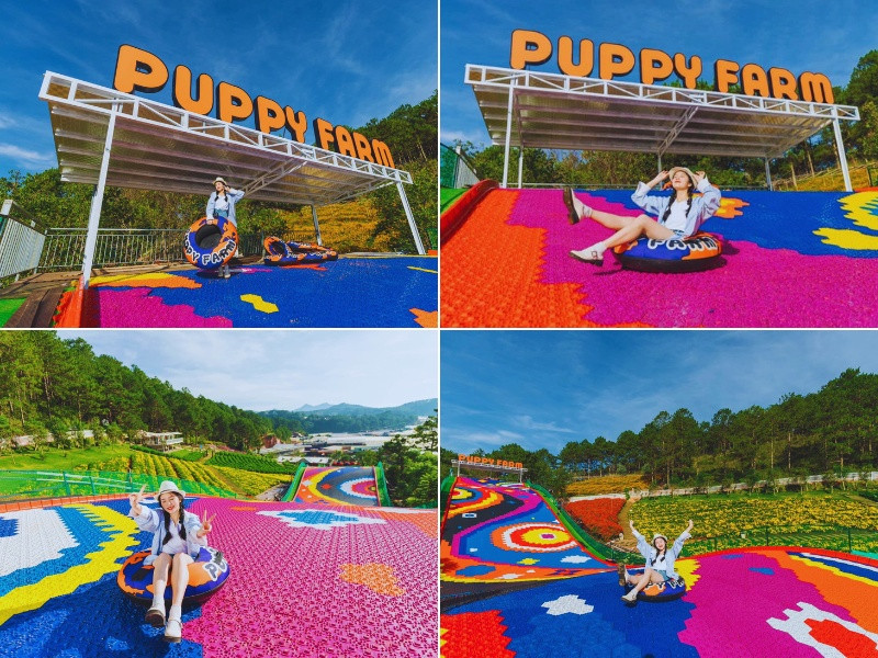 Trải nghiệm trò chơi trượt phao khô đầy thú vị tại Puppy Farm