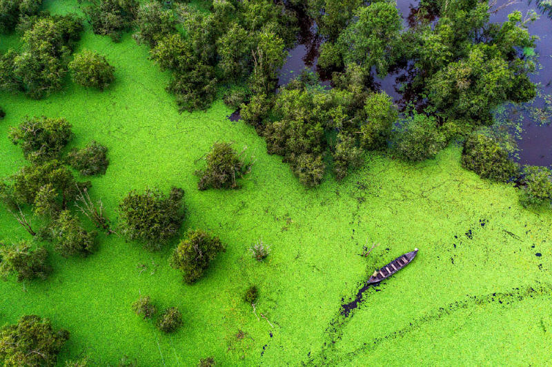 Mùa nước nổi từ tháng 9 đến tháng 12 là thời điểm thích hợp nhất để bạn tới khám phá Vườn quốc gia Tràm chim