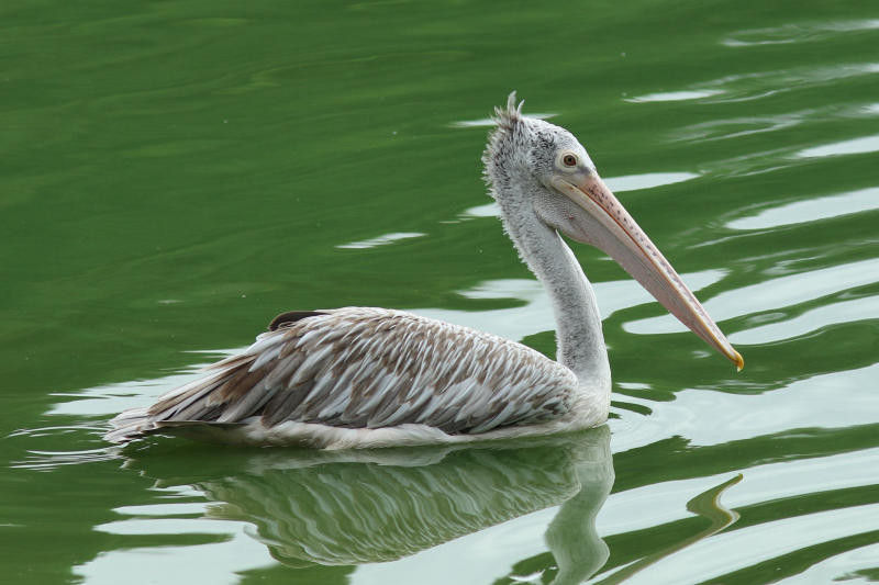 Hình ảnh đường đi đến Vườn quốc gia Tràm Chim