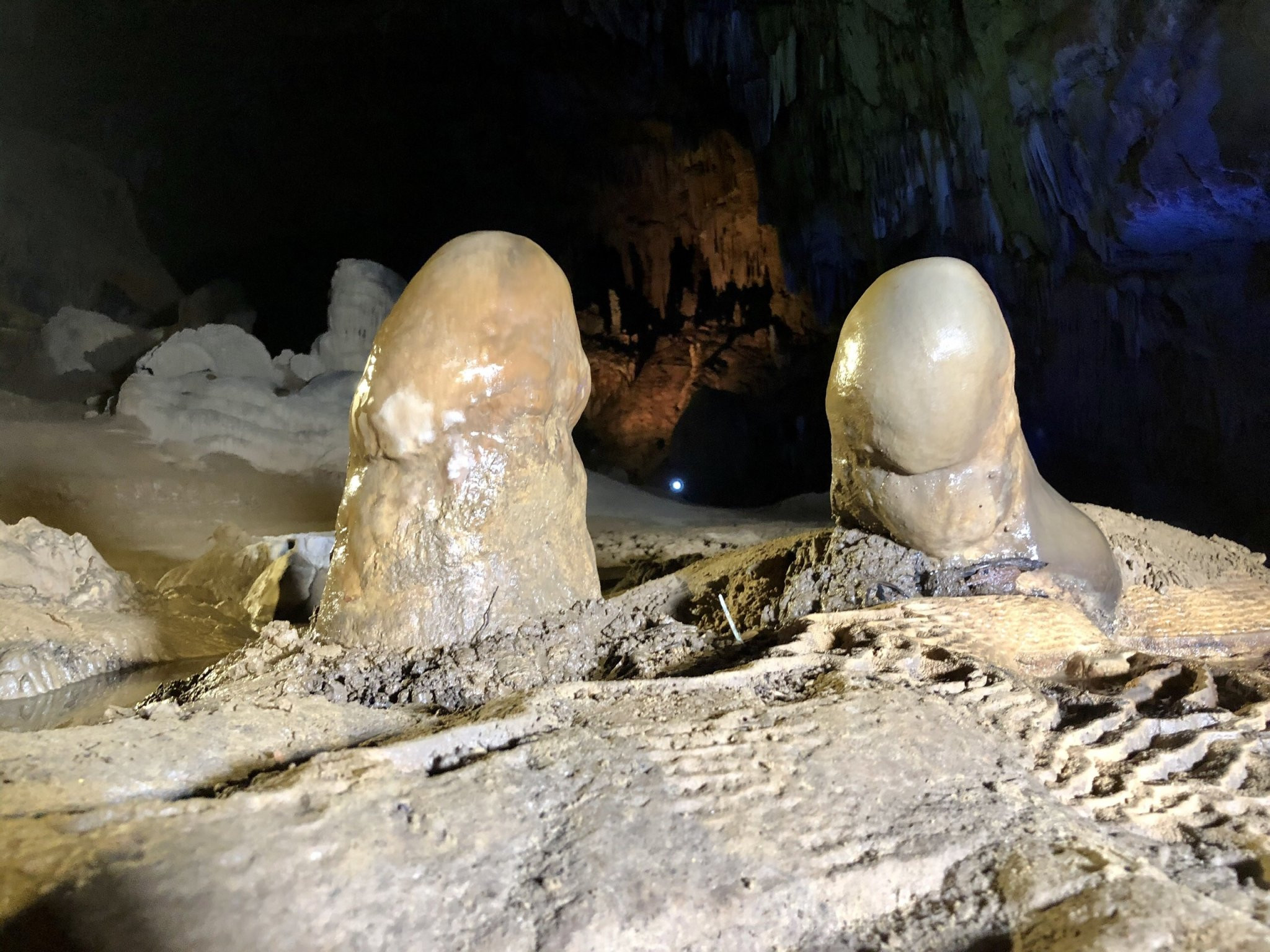 Khối nhũ đá tự nhiên với hình dáng được ví như hai linh vật đang ngự trị