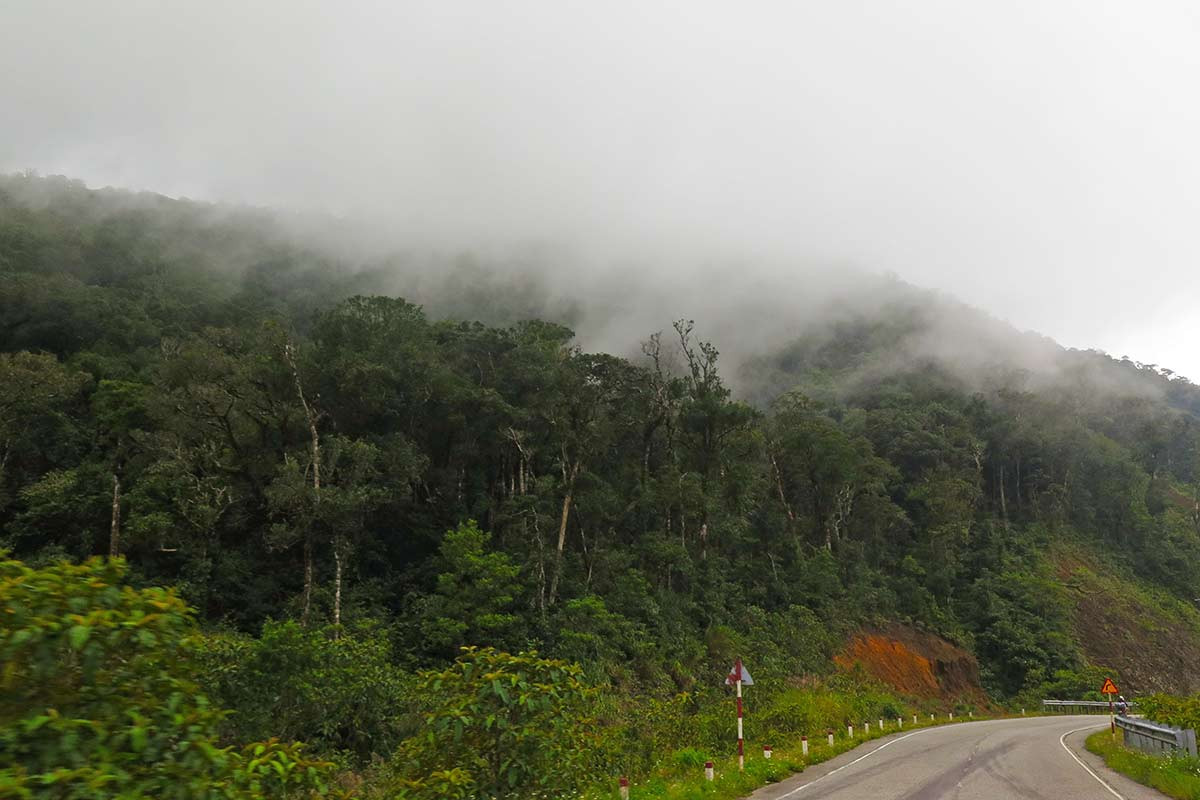 Cung đường đèo mờ ảo trong làn sương mù và mây trời