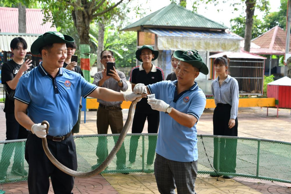 Trại Rắn Đồng Tâm: Điểm Đến Độc Đáo Giữa Lòng Miền Tây 1 Nhân viên Trại rắn Đồng Tâm đang thực hiện quy trình lấy nọc rắn để phục vụ nghiên cứu và sản xuất thuốc