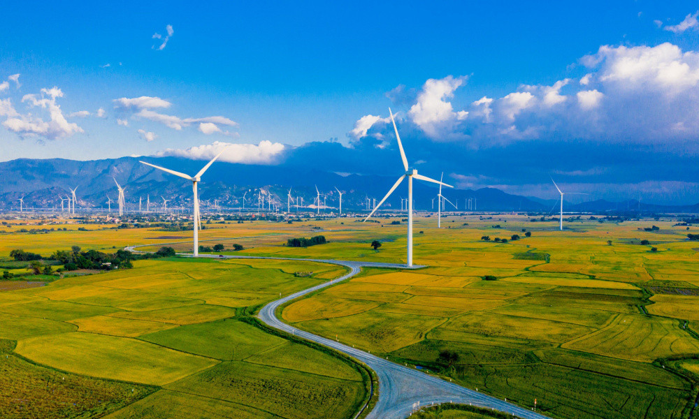 Tuabin điện gió sừng sững giữa cánh đồng lúa xanh mướt tại Đầm Nại, Ninh Thuận