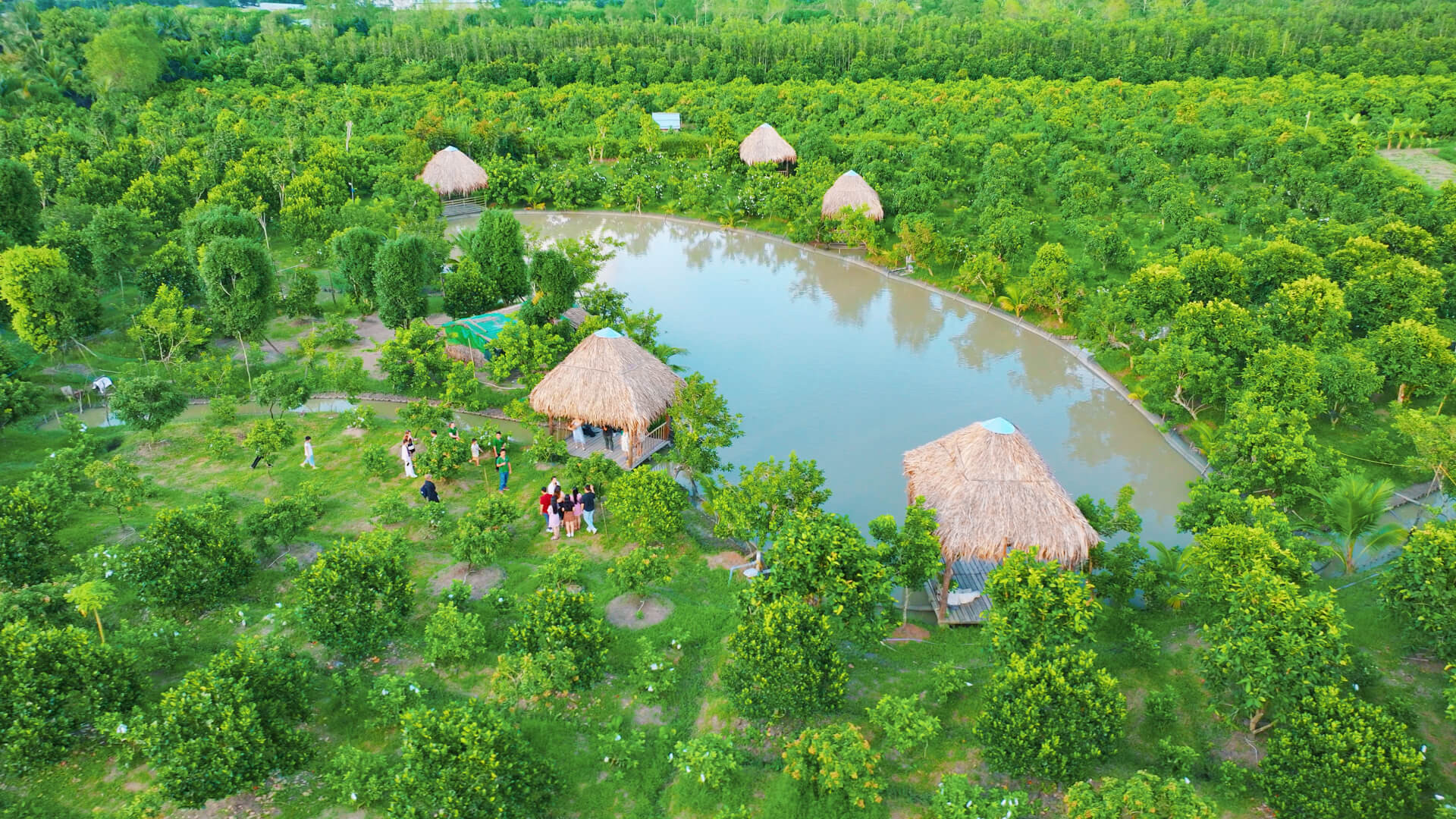 Quang cảnh khu vườn hữu cơ Eco Farm tại Cantho Eco Resort với cây xanh tươi tốt