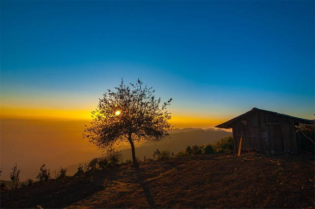 Cây Táo Mèo cô đơn đứng sừng sững trên đỉnh gió, điểm check-in nổi tiếng