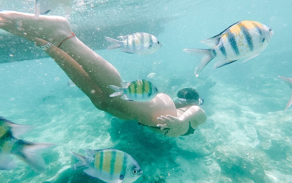 Một nhóm du khách đang lặn biển ngắm san hô và sinh vật biển dưới làn nước trong xanh tại Koh Phi Phi