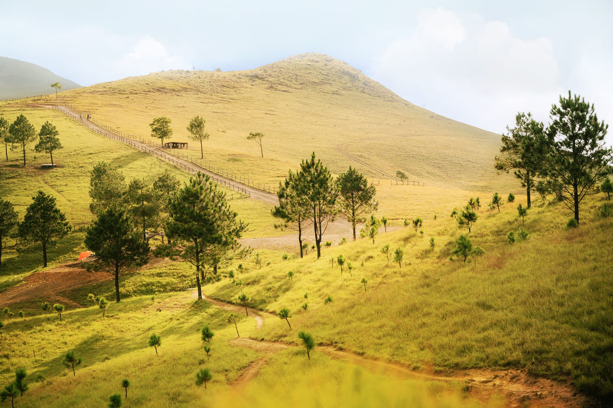 347392115 6256086961113304 6068149874039155279 n 17 1