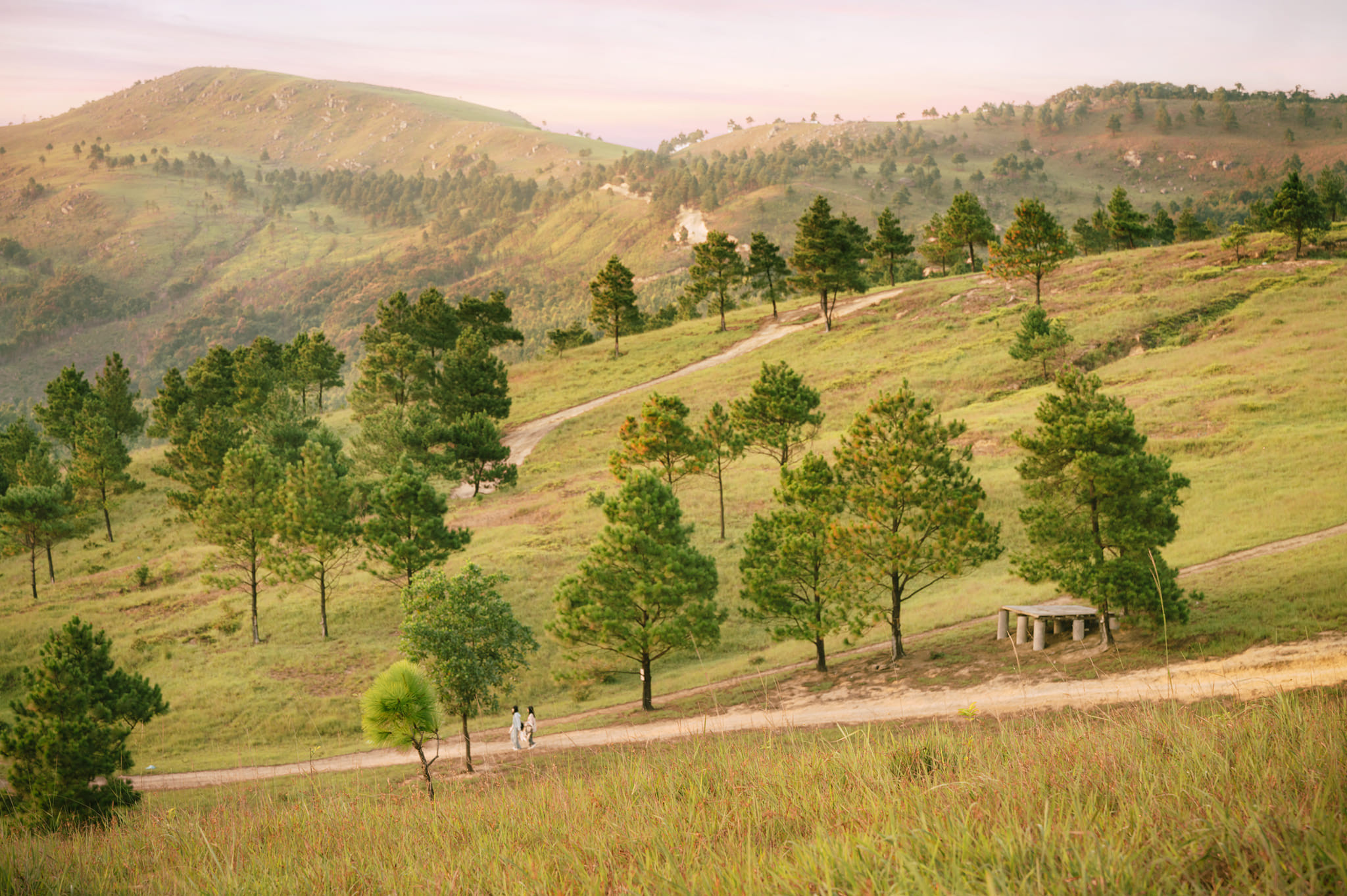 Khu vực cắm trại với lều trại và không gian rộng rãi