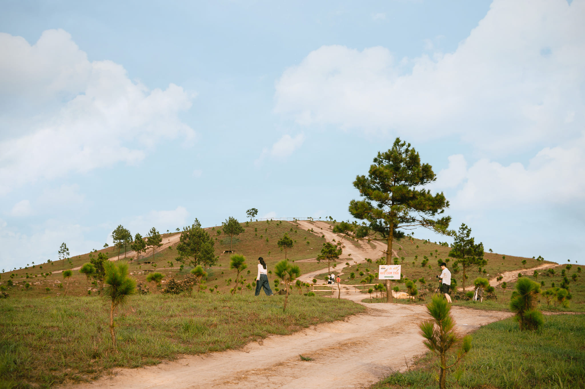 Đường lên Đồi Phượng Hoàng với những đoạn dốc và uốn lượn