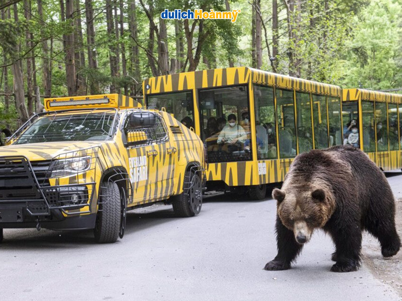 Du khách trải nghiệm trò chơi T-Express tại Everland Hàn Quốc