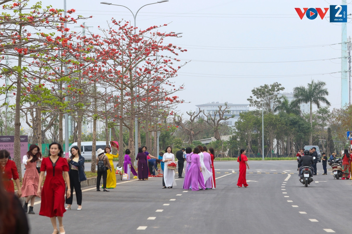 Hàng cây gạo non bung nở đỏ rực tại Khu đô thị ParkCity Hanoi