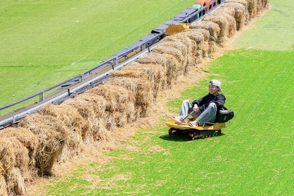 Góc "sống ảo" với cối xay gió và khung cảnh lãng mạn tại Mongo Land Đà Lạt