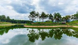 Đồi chè xanh mướt trải dài tại Mộc Châu