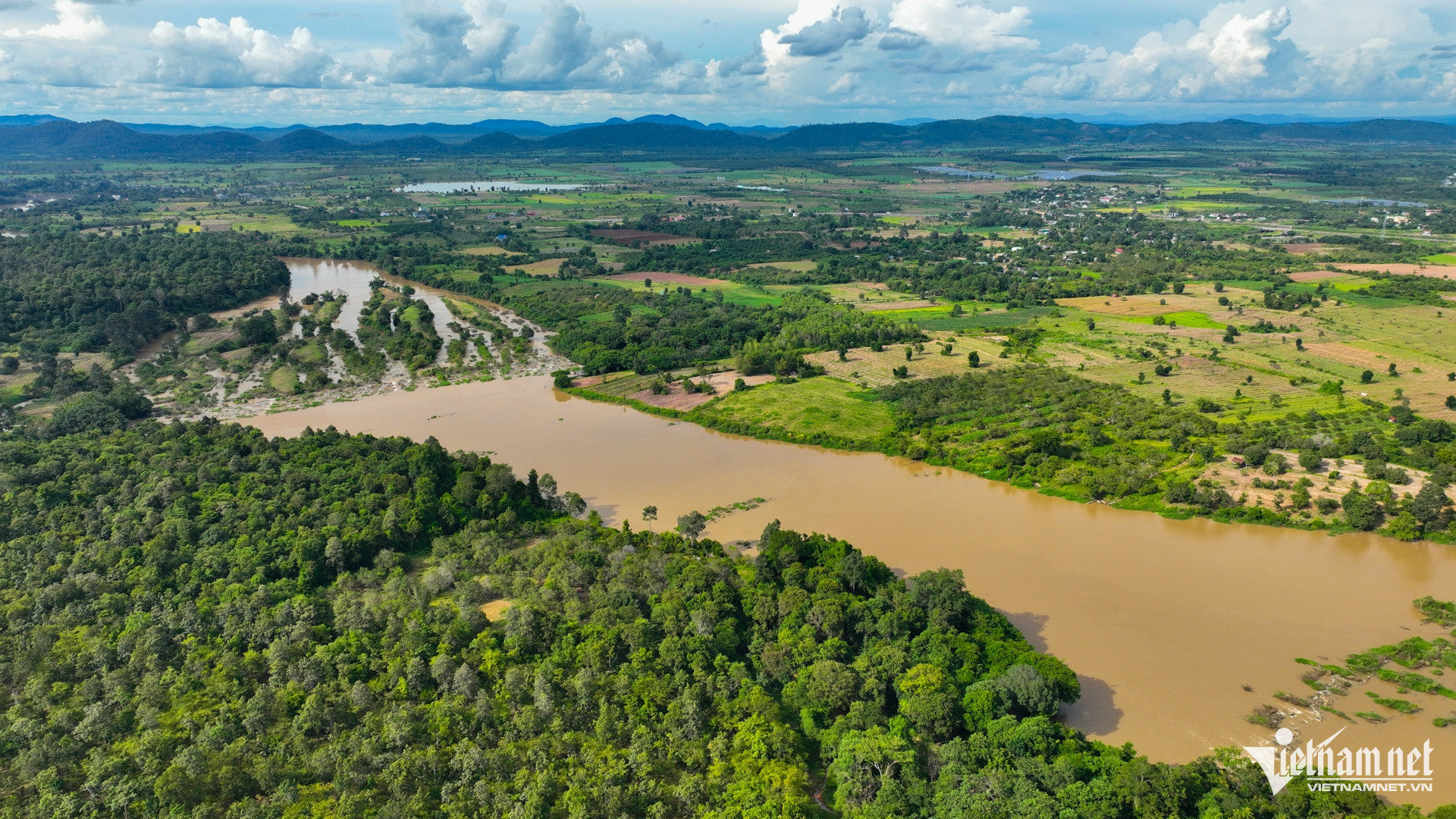 Vườn cà phê bạt ngàn dưới nắng ở Đắk Lắk, thủ phủ cà phê Việt Nam