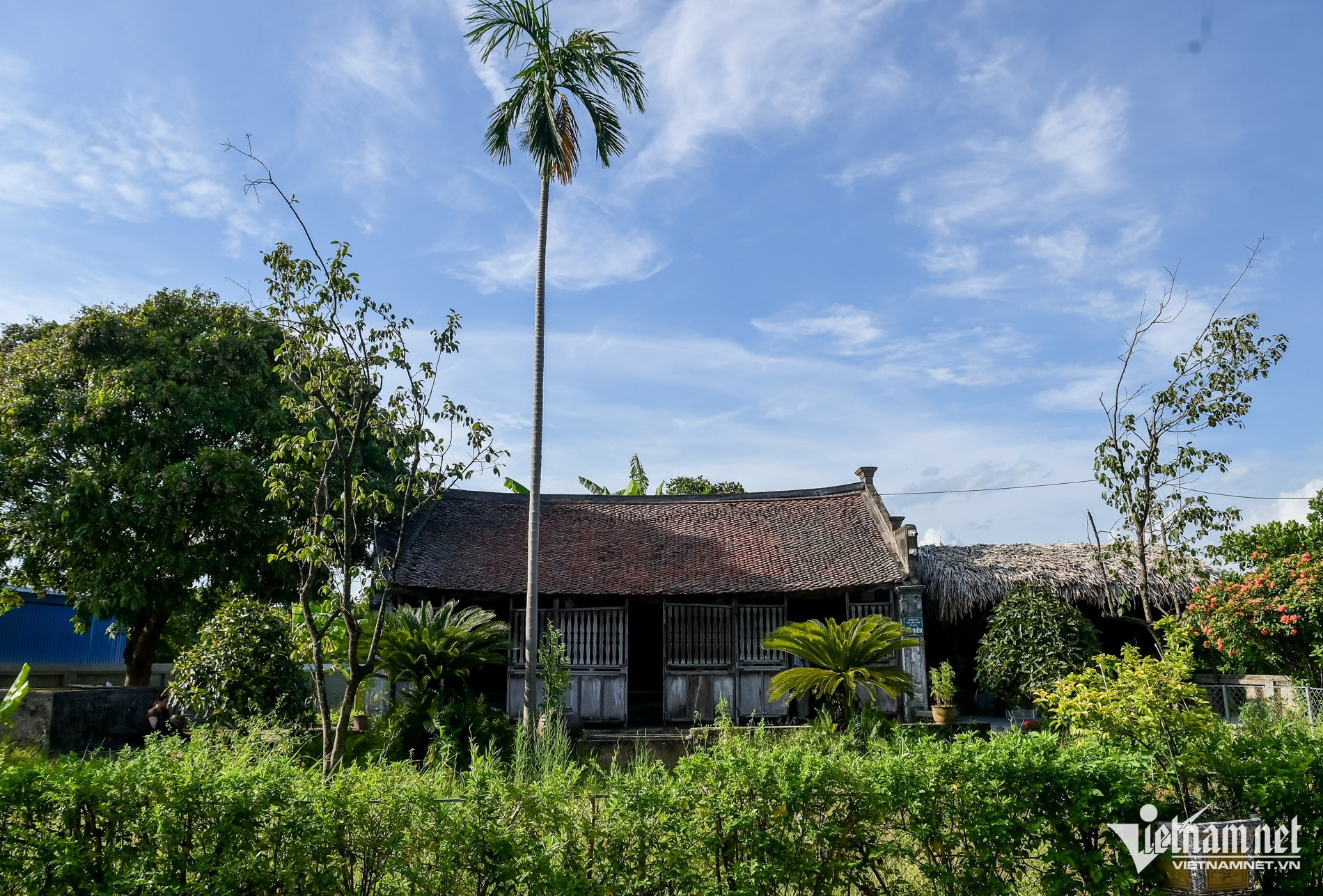 w nha ba kien 2748 1