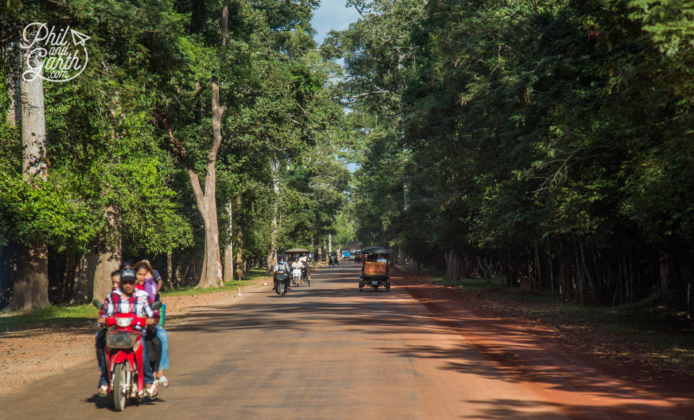 Cẩm Nang Khám Phá Angkor 3 Ngày: Hành Trình Đến Di Sản Thế Giới Huyền Bí 1 Con đường rợp bóng cây dẫn vào khu quần thể đền Angkor