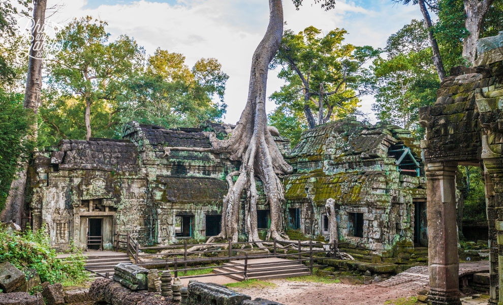 Cẩm Nang Khám Phá Angkor 3 Ngày: Hành Trình Đến Di Sản Thế Giới Huyền Bí 6 Rễ cây khổng lồ như những bàn tay từ trời vươn xuống tại Ta Prohm