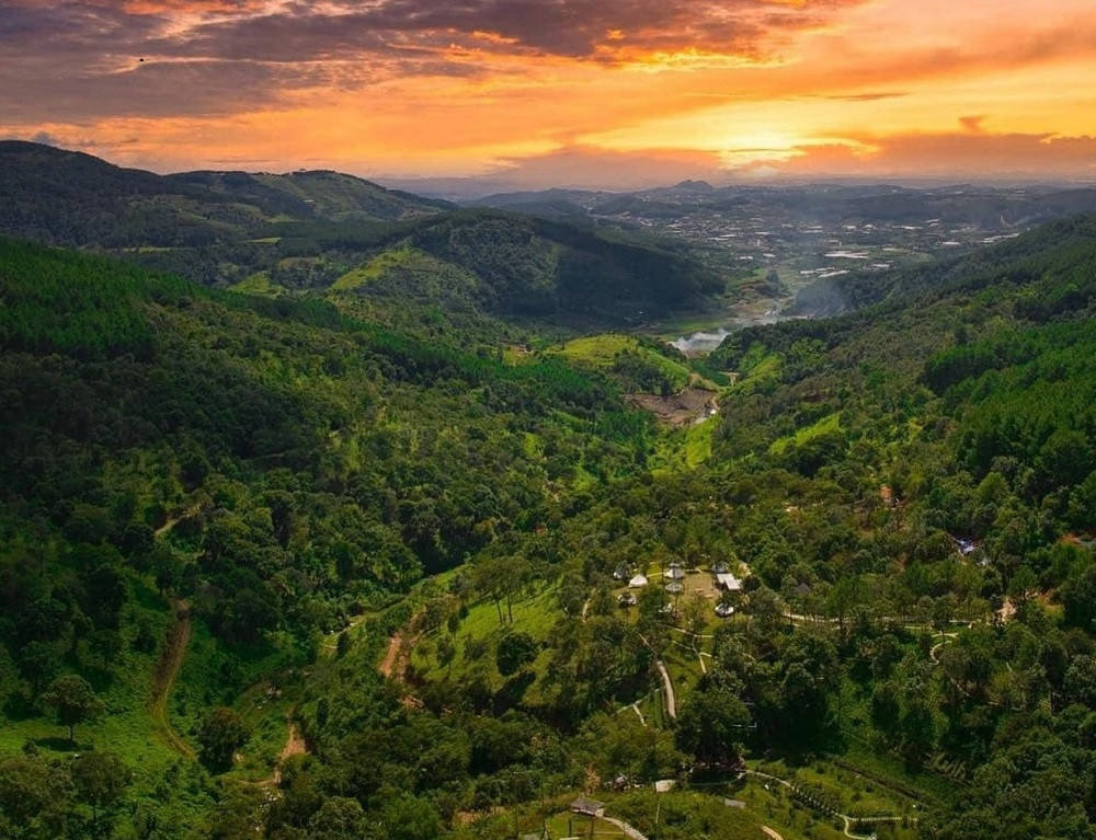cao nguyen hoa da lat 21691081141 1