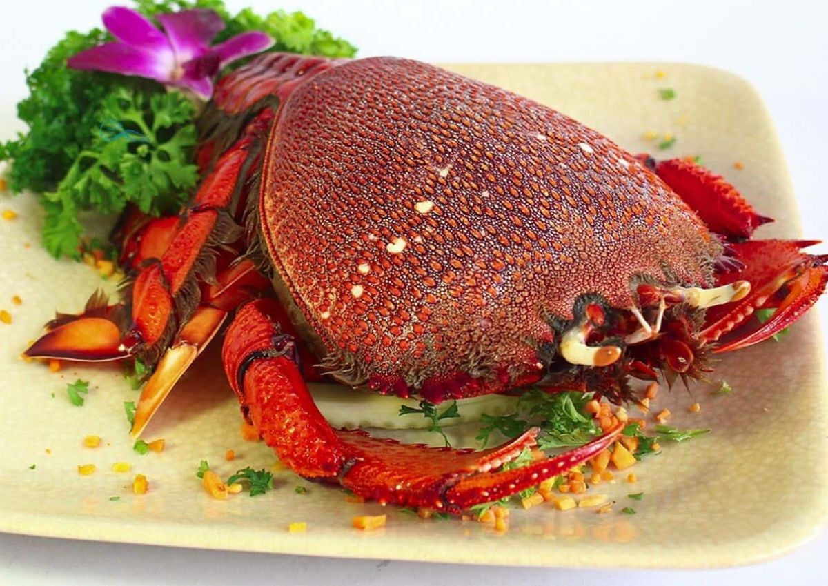 Cẩm Nang Du Lịch Sa Huỳnh Quảng Ngãi Tự Túc: Khám Phá Vẻ Đẹp Hoang Sơ 3 Cua huỳnh đế Quảng Ngãi