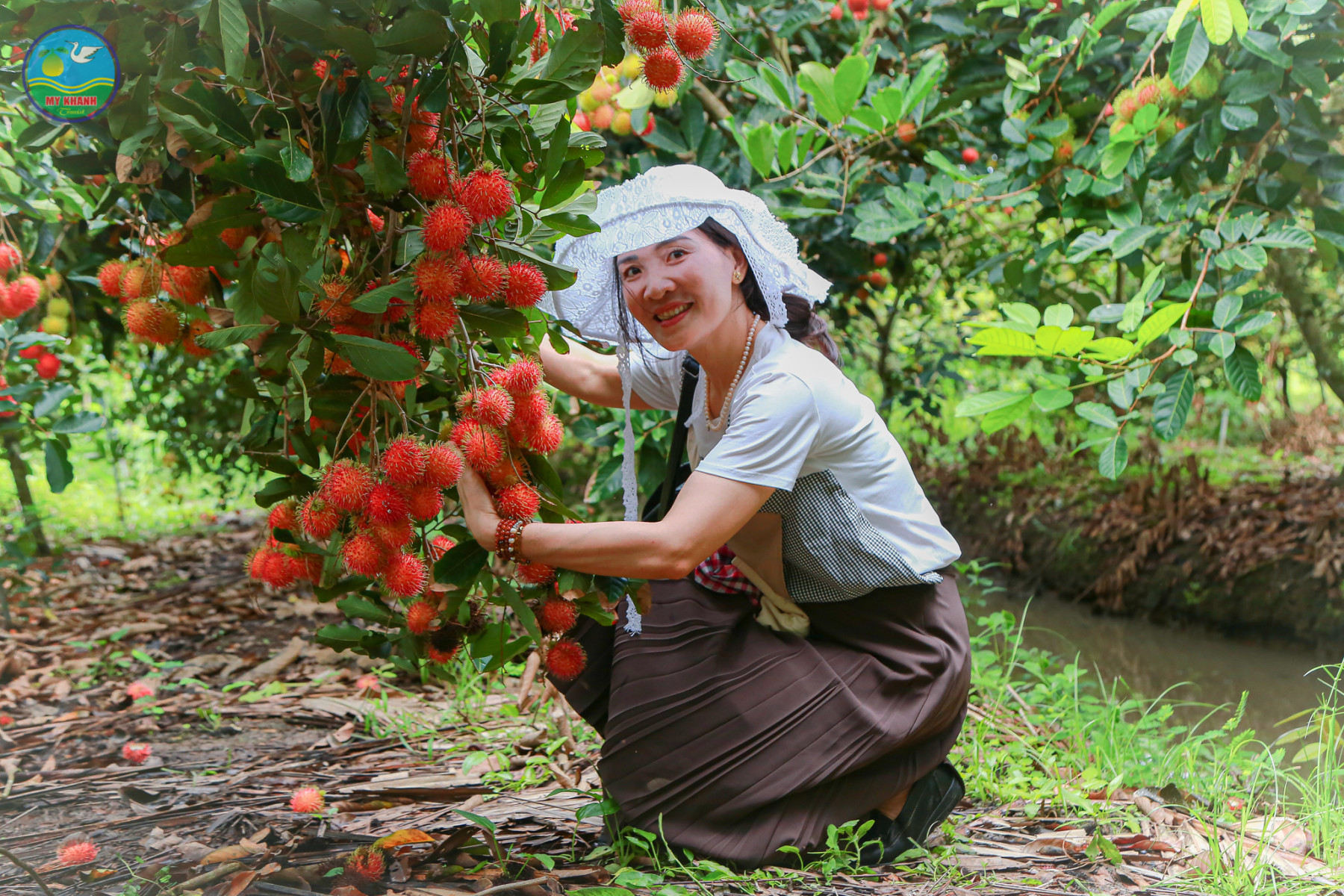 Du khách trải nghiệm tự tay hái những chùm chôm chôm chín mọng tại vườn