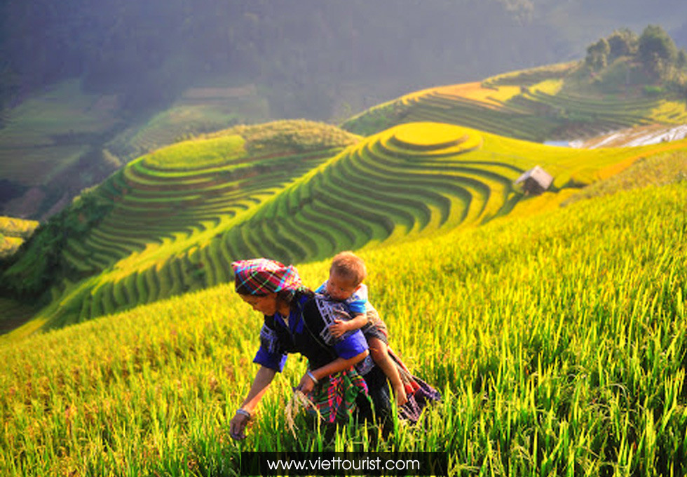 Đặc sản địa phương hấp dẫn trên bàn ăn tại Tây Bắc