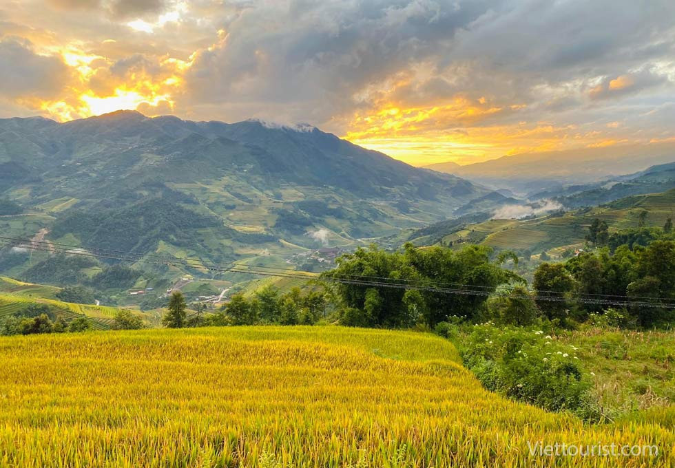 Ruộng bậc thang Mù Cang Chải mùa lúa chín vàng óng ả