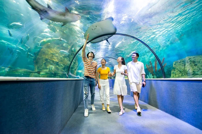 Thủy cung Times City với đường hầm kính dưới biển