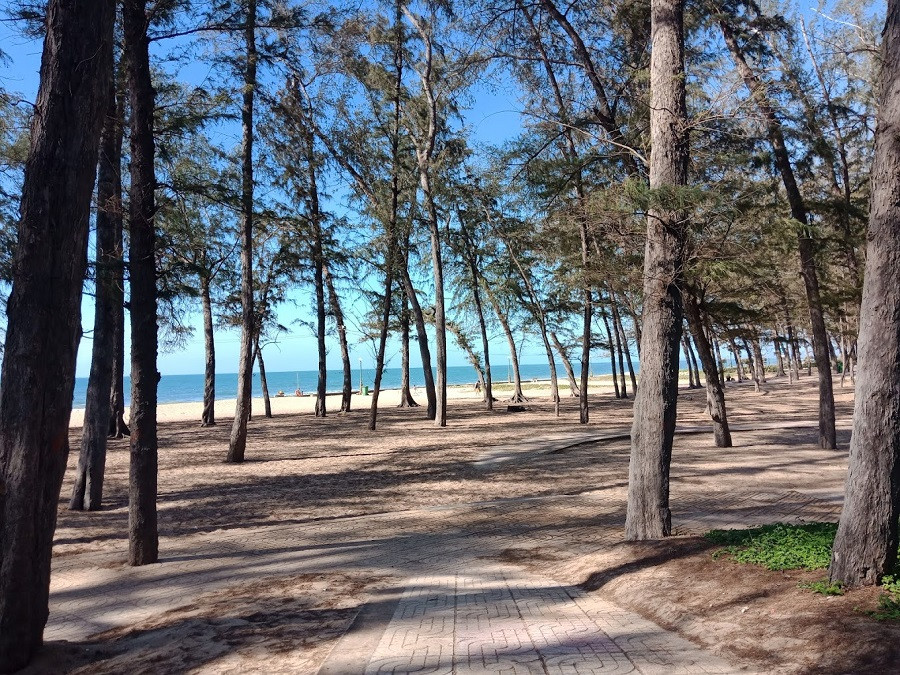 Khám phá 10 Bãi Biển Phan Thiết Đẹp Mê Hồn Cho Kỳ Nghỉ Dưỡng Trọn Vẹn 7 Bãi biển Đồi Dương với hàng cây xanh và bãi cát rộng