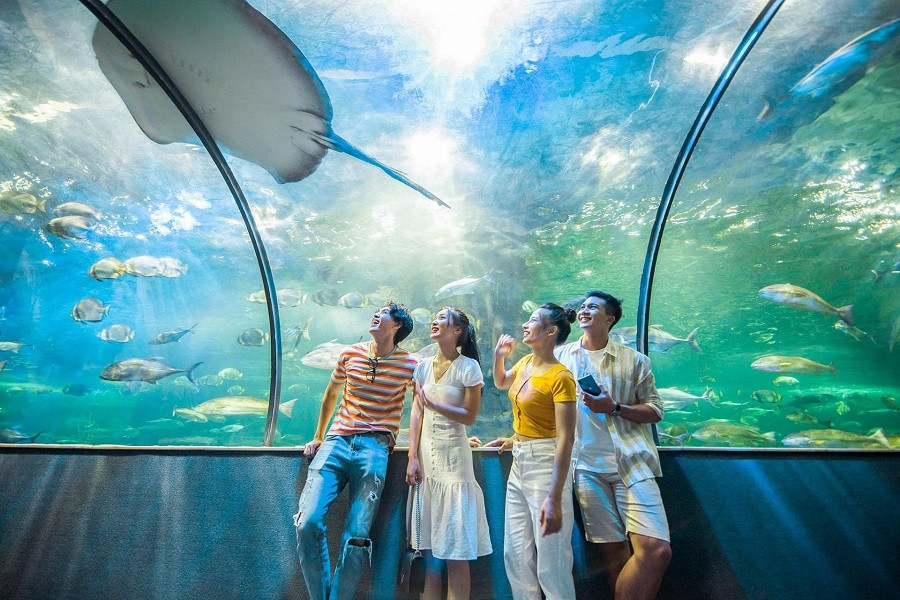 Thủy cung Vinpearl Aquarium Times City với hệ sinh vật biển đa dạng