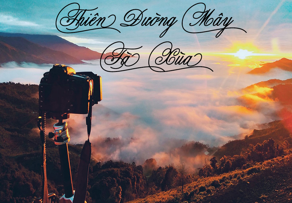 Biển mây trắng bồng bềnh trên đỉnh Tà Xùa, Sơn La