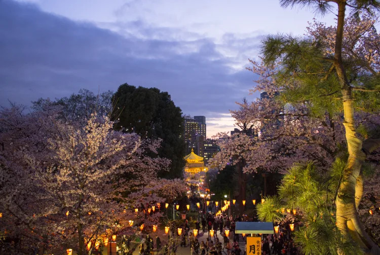 Khám phá Công viên Ueno Tokyo: Viên ngọc xanh giữa lòng thủ đô Nhật Bản 5 tokyo23153 1