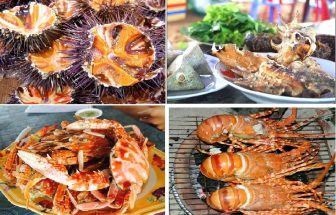 Thưởng thức hải sản thơm ngon khi đến với vịnh Vĩnh Hy