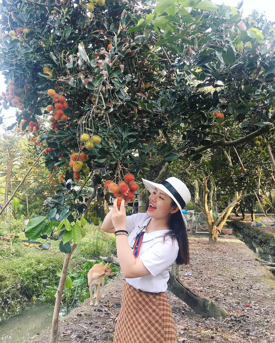 Khám phá các Khu du lịch Đồng Nai nổi bật: Cẩm nang chi tiết từ A-Z 6 Những chùm chôm chôm ngọt lịm đỏ rực tại vườn trái cây Long Khánh