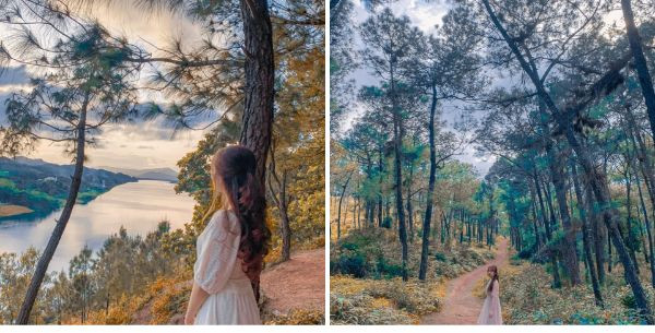 28 doi vong canh doi thien an 1