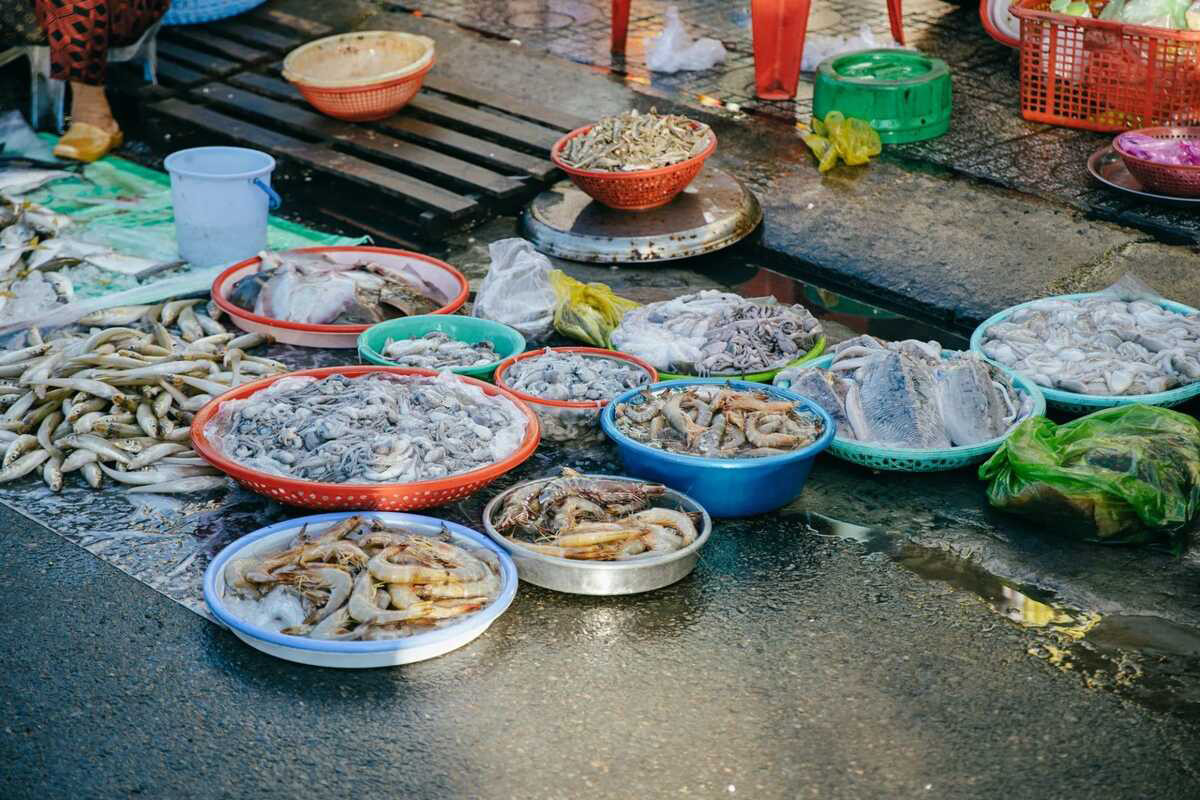 dia diem du lich phuoc hai 1 1