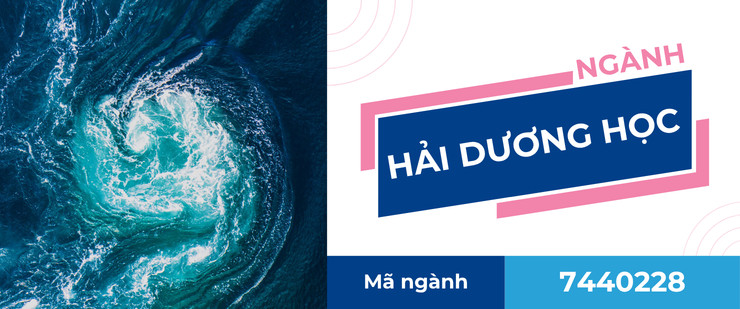 Sinh viên nghiên cứu và làm việc thực tế trong lĩnh vực Hải dương học