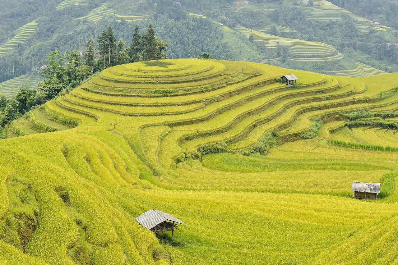 Cảnh làng bản nhỏ dưới chân núi tại Hoang Su Phi, Việt Nam