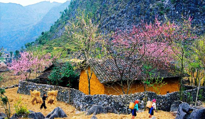 mua xuan o ha giang 1