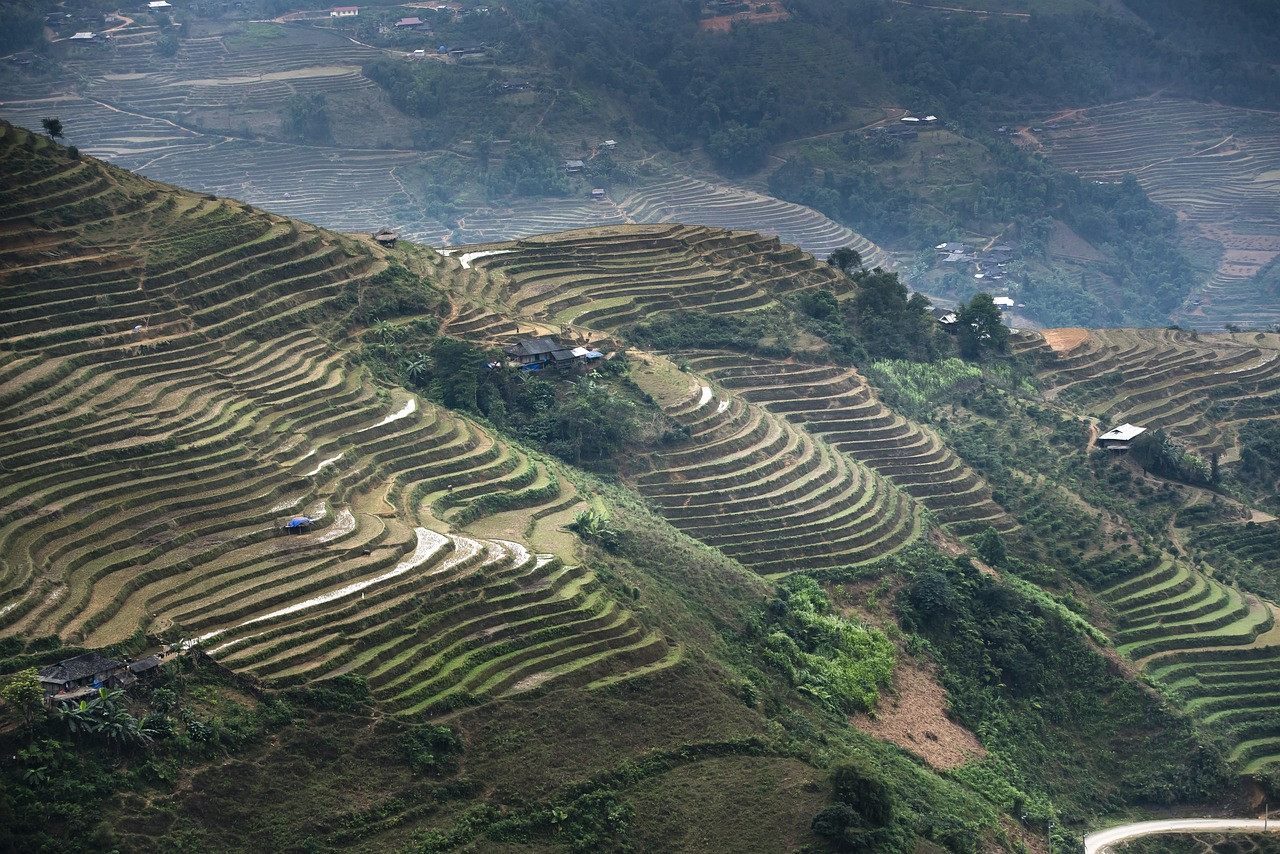 terraces 33588581280 1