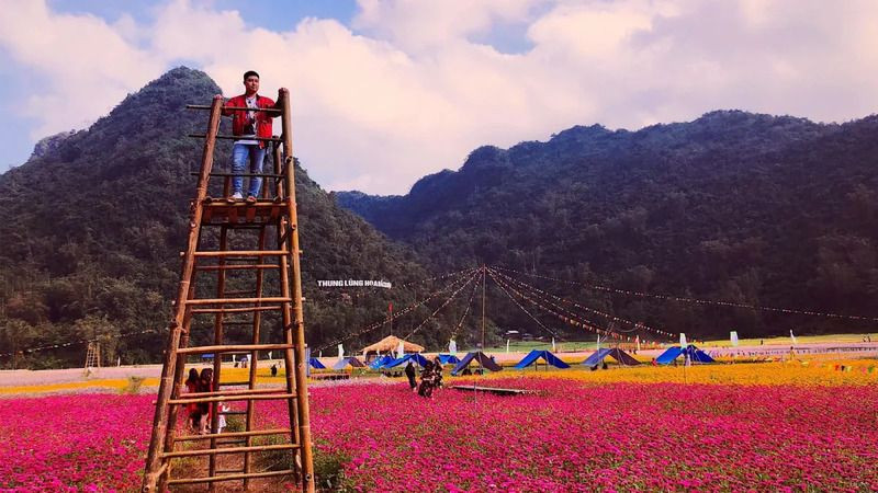 Thung lũng hoa Bắc Sơn rực rỡ sắc màu