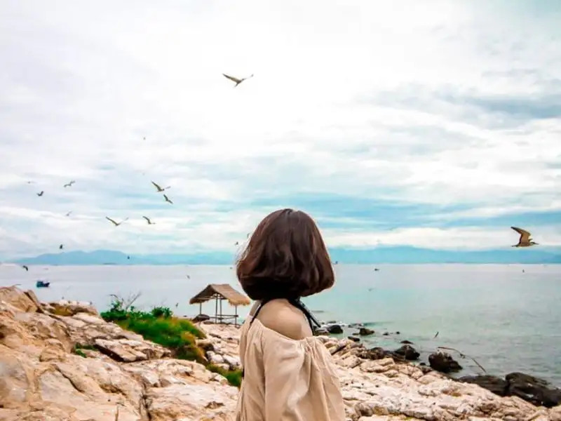 Khám phá 16 Tour Nha Trang Trong Ngày Hấp Dẫn Nhất Định Phải Thử 10 Đảo Yến Nha Trang, nơi những cánh yến bay lượn