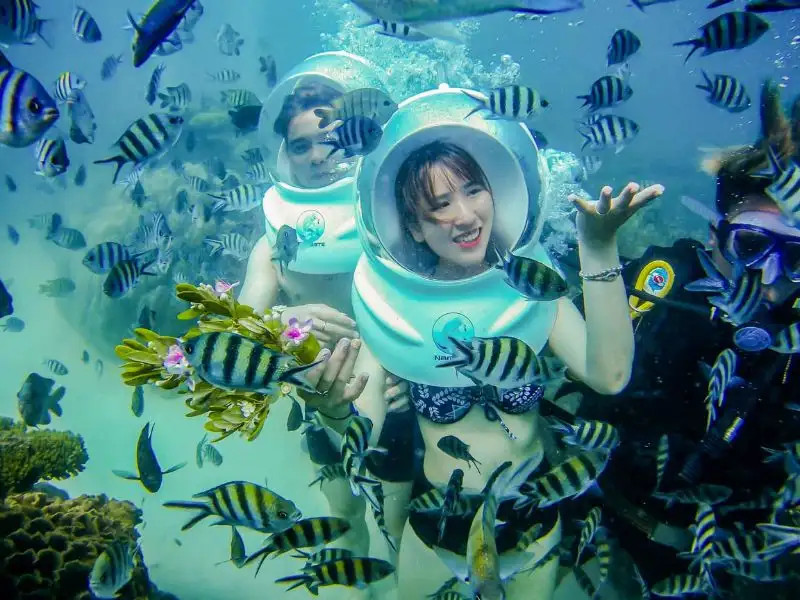 Khám phá 16 Tour Nha Trang Trong Ngày Hấp Dẫn Nhất Định Phải Thử 9 Đi bộ dưới biển tại Hòn Sỏi, ngắm nhìn đàn cá rực rỡ