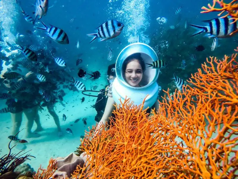Khám phá 16 Tour Nha Trang Trong Ngày Hấp Dẫn Nhất Định Phải Thử 8 Trải nghiệm đi bộ dưới biển độc đáo khám phá đại dương