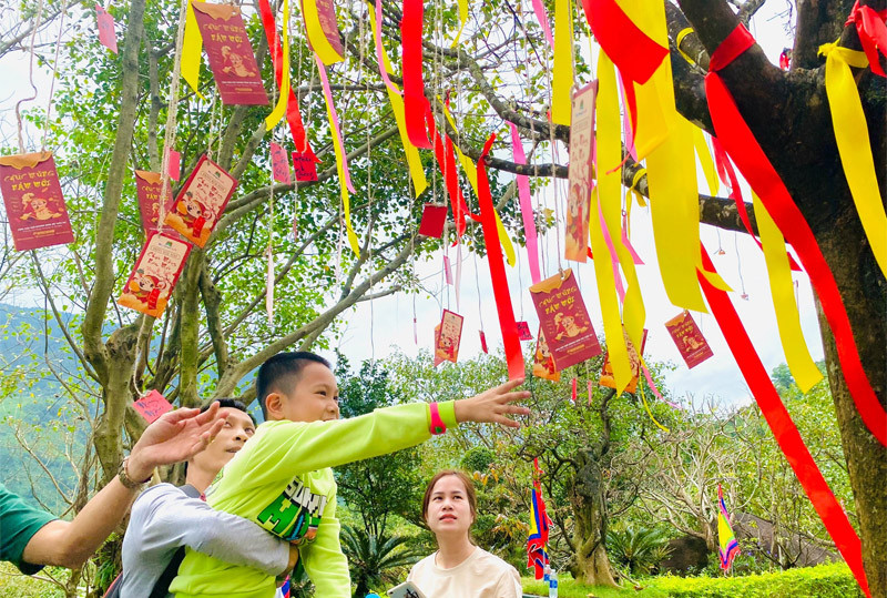 Khám phá Phong Tục Tết Miền Trung: Nét Đẹp Văn Hóa Khó Phai 7 Người dân miền Trung hái lộc đầu xuân