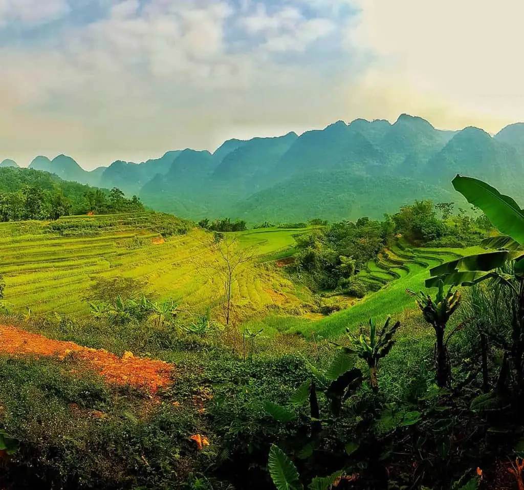 Khám Phá Thanh Hóa: 10 Địa Điểm Du Lịch Hấp Dẫn Không Thể Bỏ Lỡ 4 Cảnh quan hùng vĩ của Khu bảo tồn thiên nhiên Pù Luông với ruộng bậc thang và núi rừng