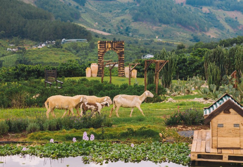 Du khách tham quan khu vực bán vé và không gian xanh mát tại Mongo Land