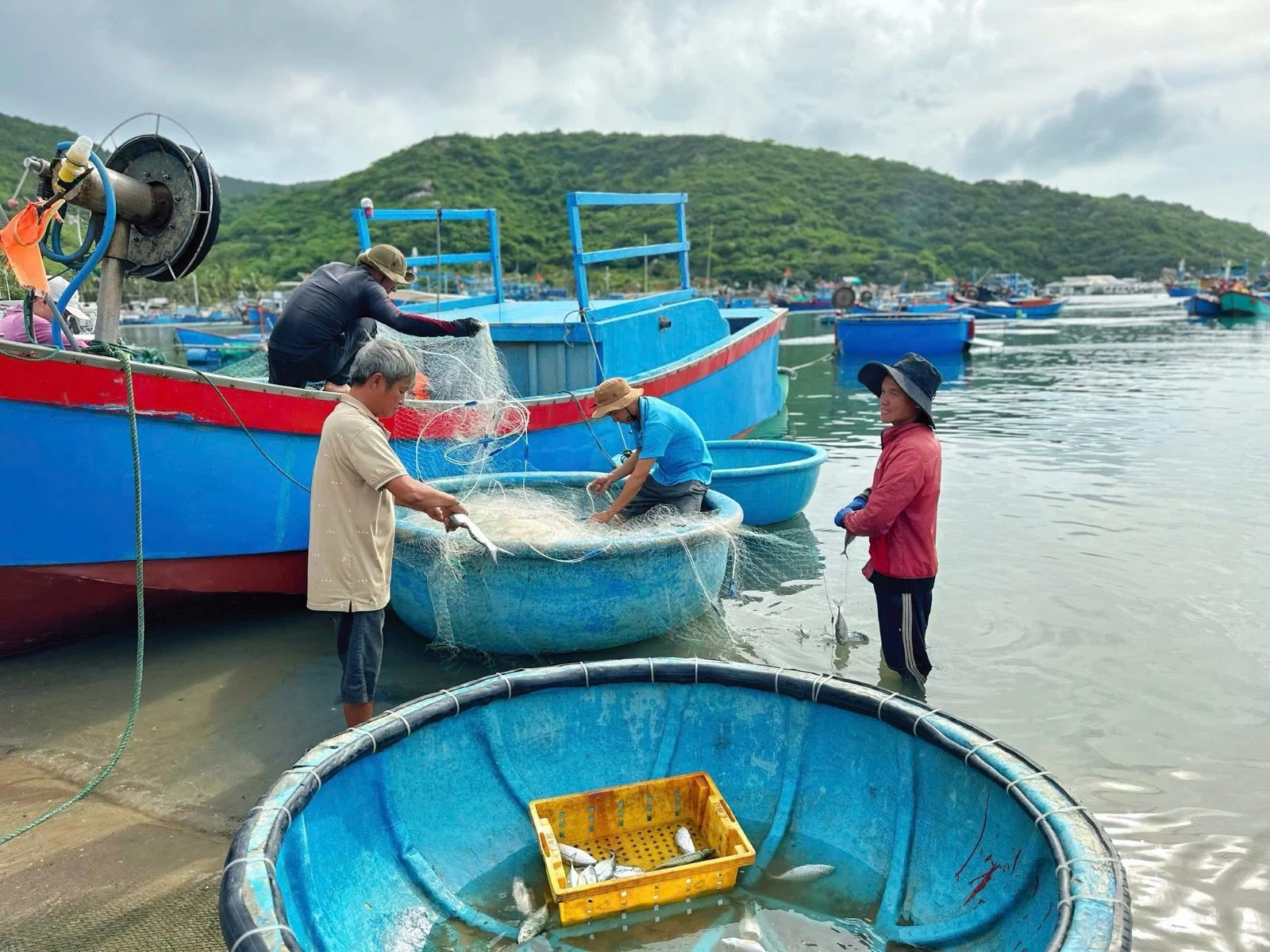 Kinh nghiệm du lịch Vĩnh Hy: Cẩm nang khám phá viên ngọc hoang sơ của Ninh Thuận 5 Khung cảnh yên bình của làng chài Vĩnh Hy với những chiếc thuyền neo đậu