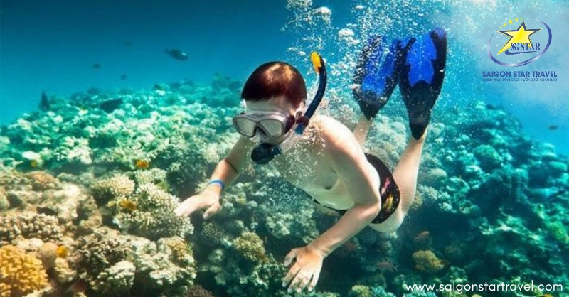Tour Phú Quốc 4 Ngày 3 Đêm: Cẩm Nang Khám Phá Đảo Ngọc Trọn Vẹn Từ A-Z 3 Du khách lặn ngắm những rạn san hô tuyệt đẹp dưới biển Phú Quốc, một trải nghiệm không thể bỏ qua